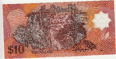 Beschrijving achterzijde: FOREST